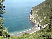 pear tree centre - North Devon coast